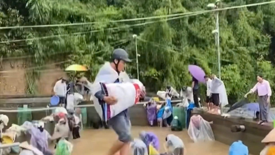 Xác minh thông tin người dân “hôi cá” trước sự bất lực của chủ trang trại