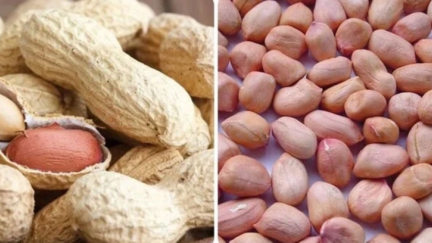 Lạc, chuối và hoa quả: “Bộ ba” giúp hạ mỡ máu hiệu quả