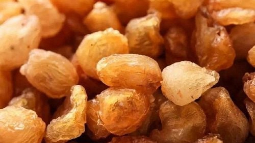 Lợi ích và tác hại tiềm ẩn khi ăn long nhãn