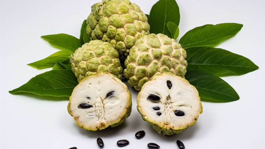 Ăn na bao nhiêu là đủ để không lo nóng trong, tăng cân