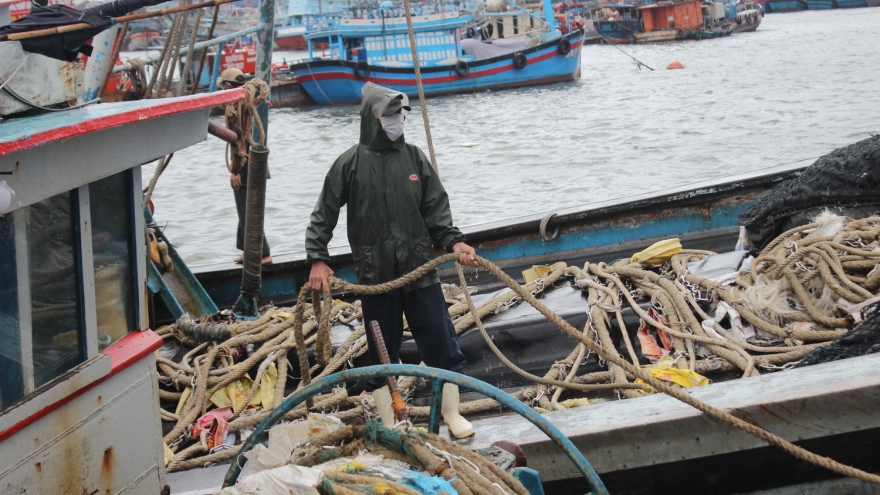 Đà Nẵng triển khai phương án ứng phó bão số 5