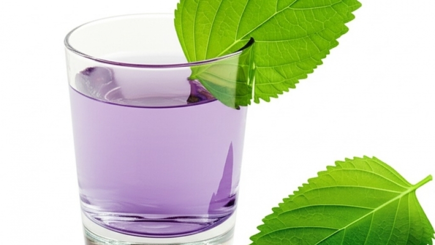 Bài thuốc dân gian chữa nhiều bệnh từ lá tía tô