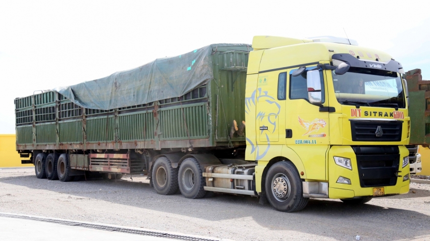 Xử phạt hơn 330 triệu đồng xe tải vượt tải trọng quy định trên 400%