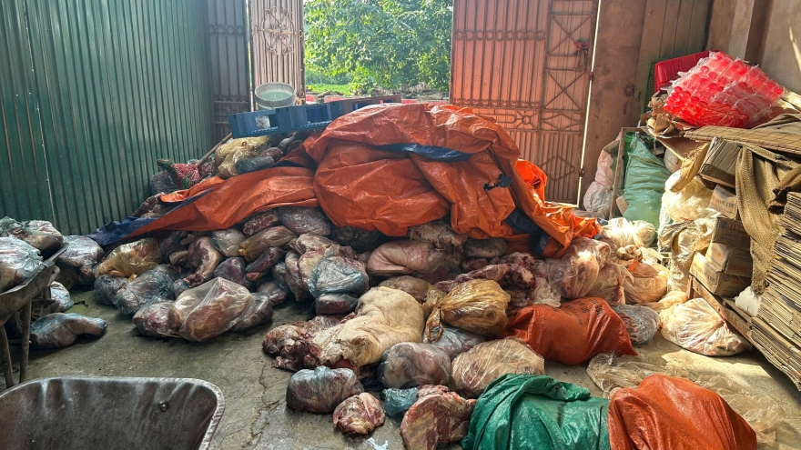 Phú Thọ thu giữ hàng tấn thịt lợn bốc mùi, chủ cơ sở khai định làm lạp xưởng