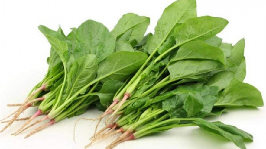 Ăn cải bó xôi, có nên chần qua để tránh gây sỏi thận?