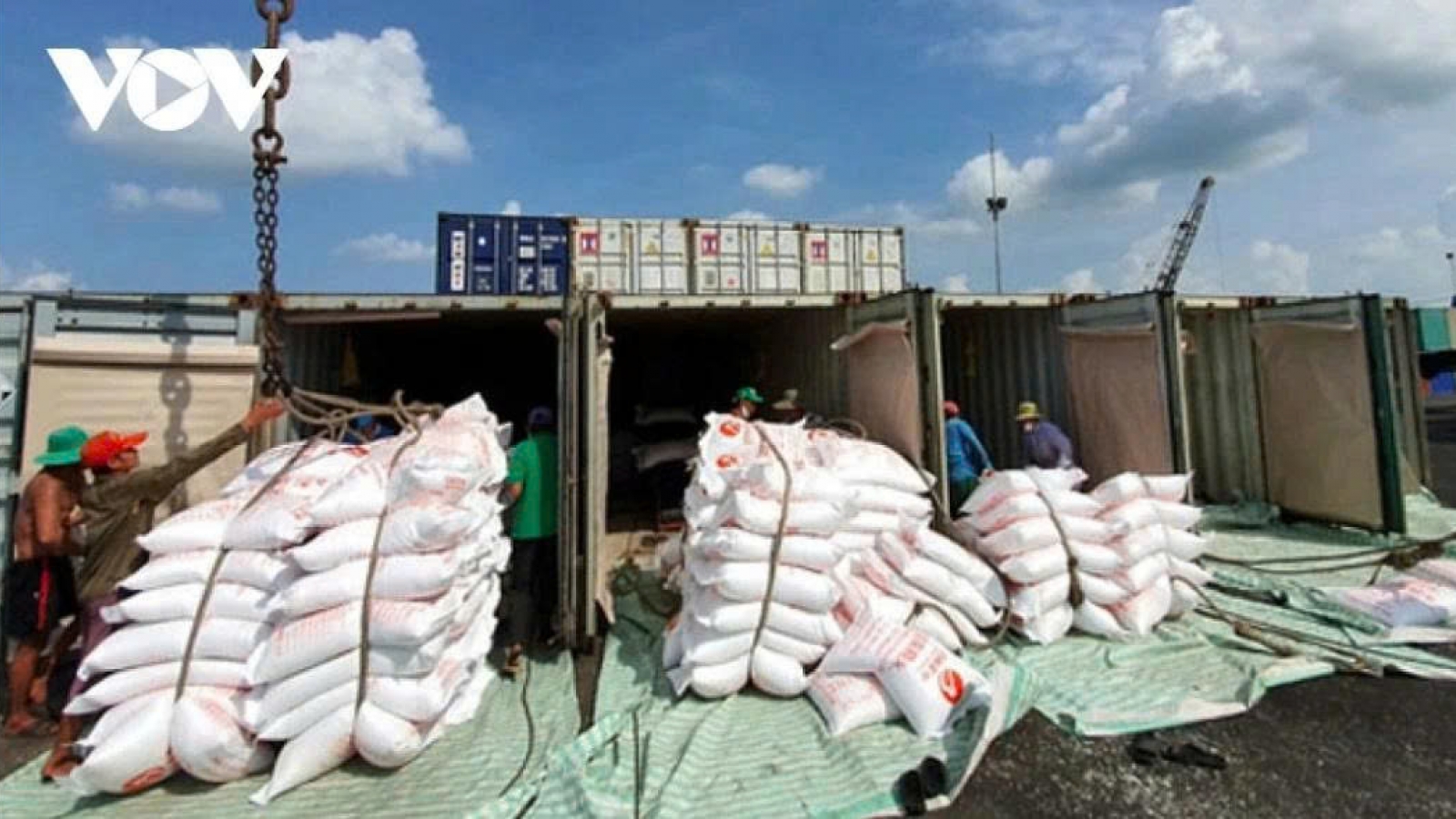 Vietnam projected to become world’s second-largest rice exporter this year