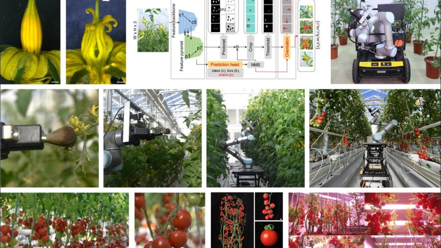 Trung Quốc chế tạo robot lai tạo giống thông minh đầu tiên trên thế giới