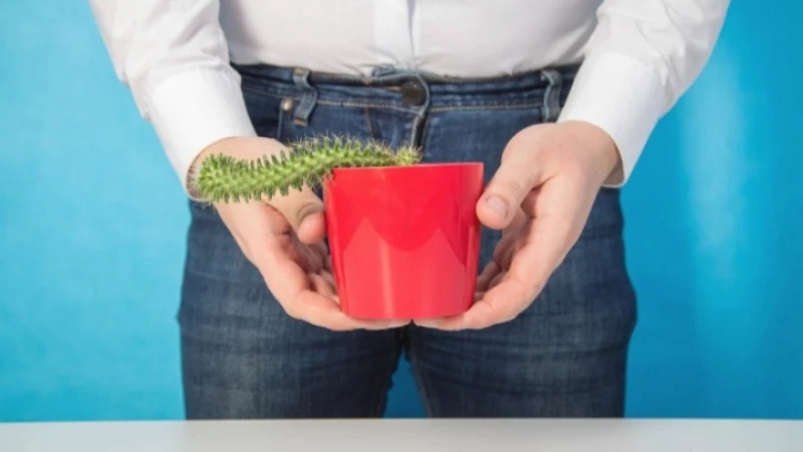 Đáp ứng liên tục bạn gái kém nhiều tuổi, tôi sợ bị liệt dương