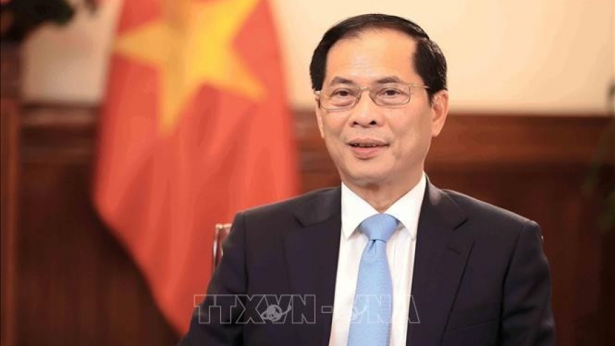 Diplomacy helps enhance Vietnam’s international position: Official