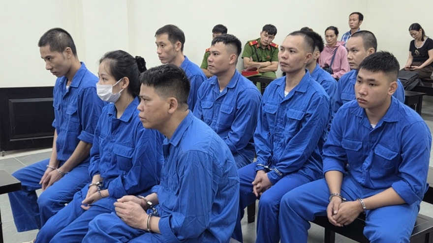 Nhóm người tạt axit, đánh đập cô gái ở Hà Nội lĩnh án