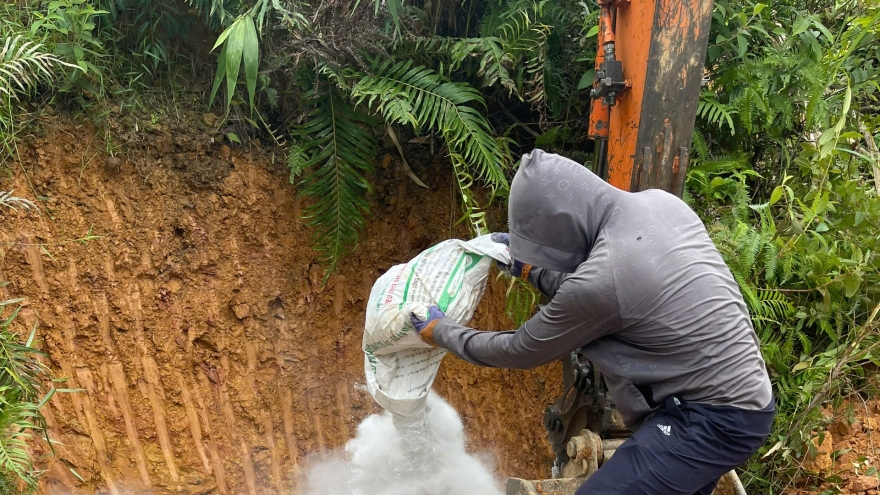 Cao Bằng: Tạm dừng mua bán lợn do dịch tả lợn Châu Phi diễn biến phức tạp