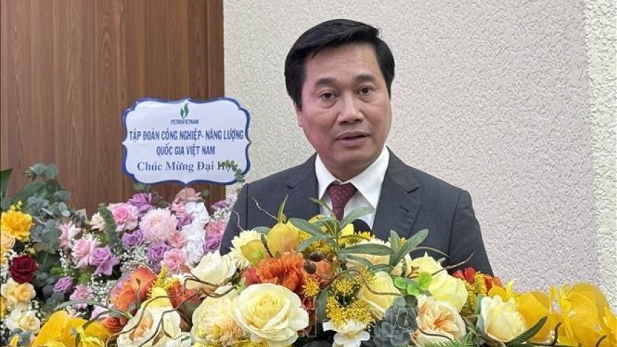 Association to work harder to step up Vietnam – Algeria cooperation