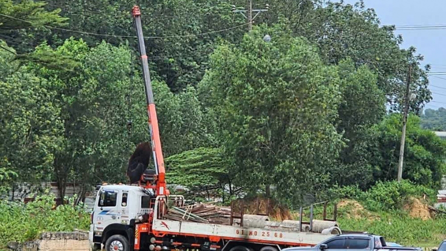 Xe cẩu va trúng điện cao thế, một người chết, một người bị thương