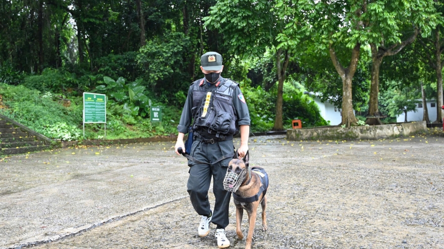 Tăng cường gần 100 người và 7 chó nghiệp vụ tìm kiếm du khách mất tích ở VQG Cúc Phương