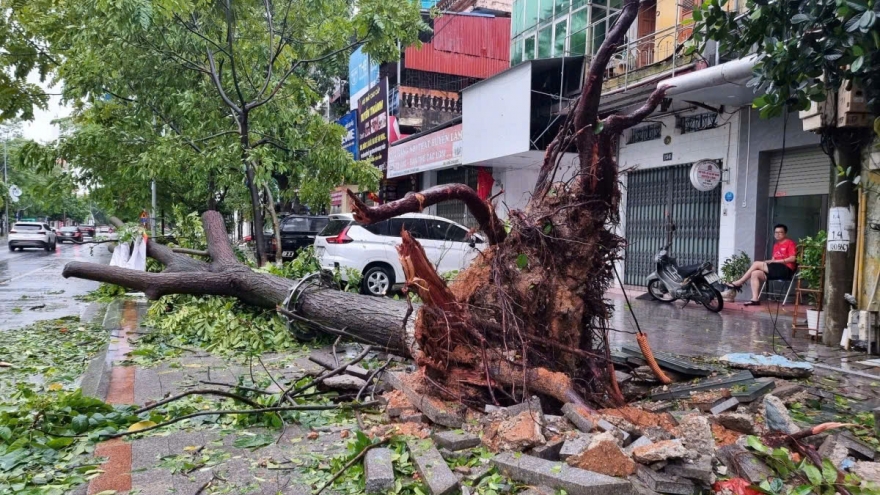 Bắc Ninh chủ động công tác ứng phó cơn bão số 5 Kajiki