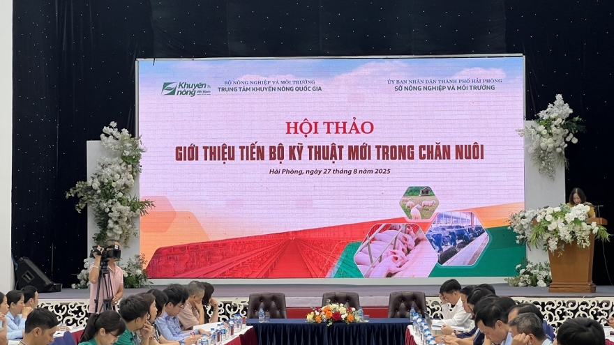 Ứng dụng tiến bộ kỹ thuật mới - chìa khóa hiện đại hóa chăn nuôi