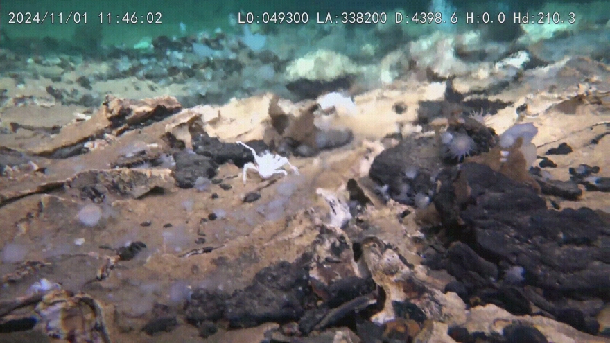 Phát hiện bất ngờ về các miệng hố khổng lồ dưới đáy Thái Bình Dương