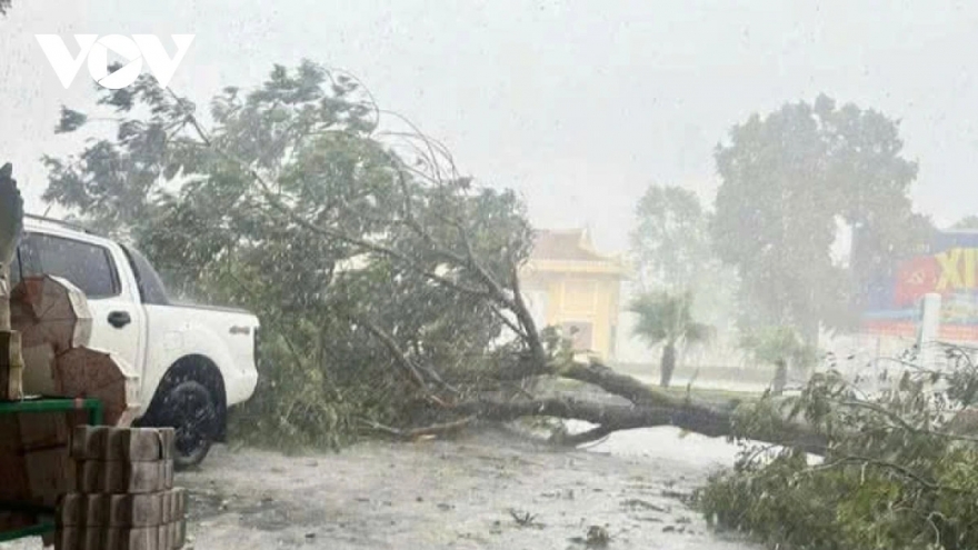 Từ nay đến hết tháng 9 có khả năng xuất hiện 1-2 cơn bão/ATNĐ trên Biển Đông