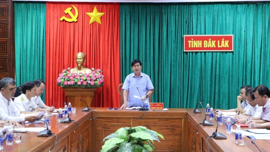 Đắk Lắk bàn phương án chống thất thu thuế kinh doanh nông sản