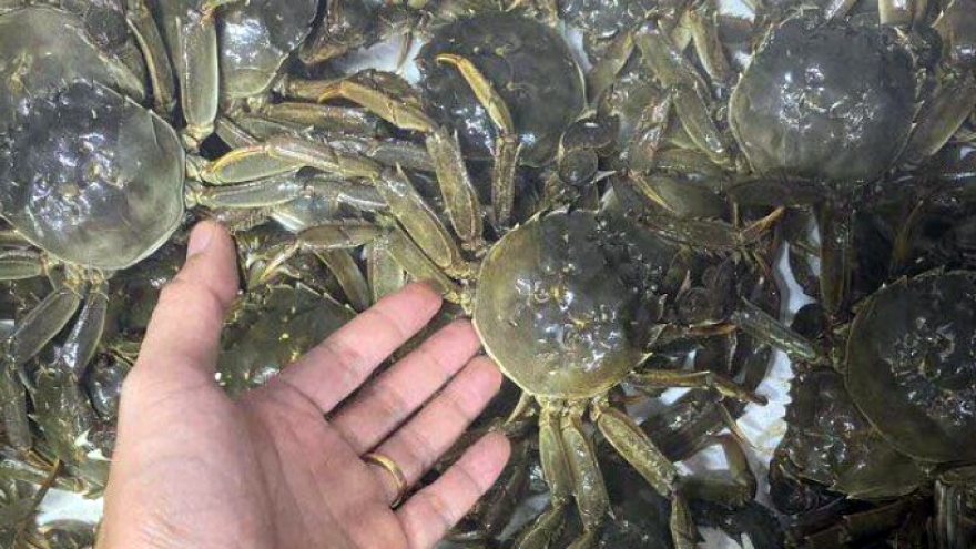 Đặc sản “8 cẳng 2 càng” chỉ có ở Bắc Ninh giá bán 600.000 đồng/kg