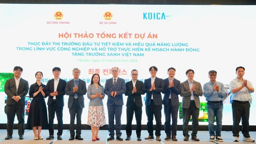 Vietnam, RoK step up cooperation in energy investment and green growth