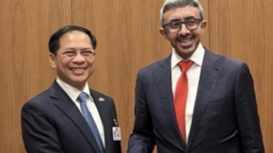 Vietnamese Deputy PM meets with UAE official, US business representatives