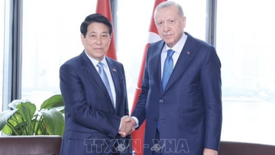 Türkiye regards Vietnam as key Asian partner: President Erdoğan