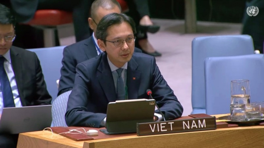 Vietnam committed to future of UN peacekeeping operations: Ambassador