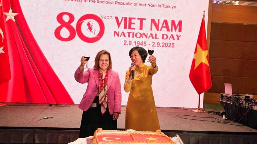 Türkiye seeks stronger ties with Vietnam