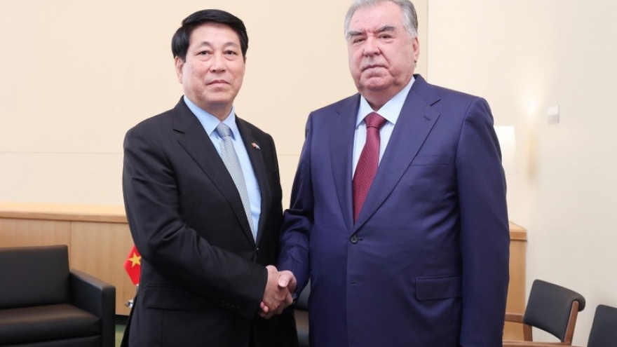 Vietnam treasures traditional friendship with Tajikistan: State President
