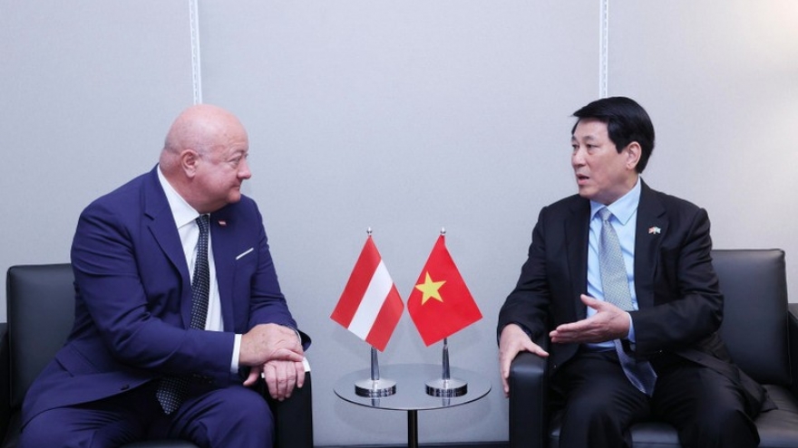Vietnam wants to develop multifaceted cooperation with Austria: State President