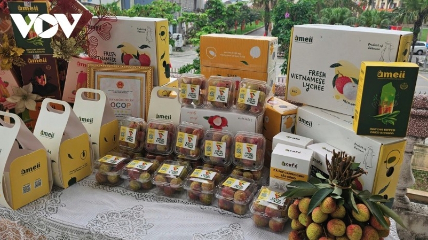 Lychee exports soar to US$80 million, tripling year-on-year