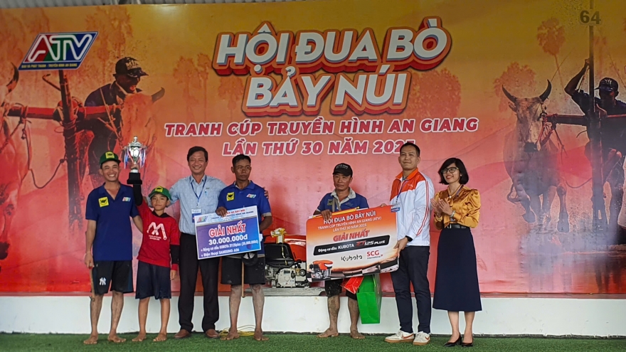 Đôi bò số 09 ông Chau Khon thắng Hội đua bò Bảy Núi, ẵm cúp Truyền hình An Giang