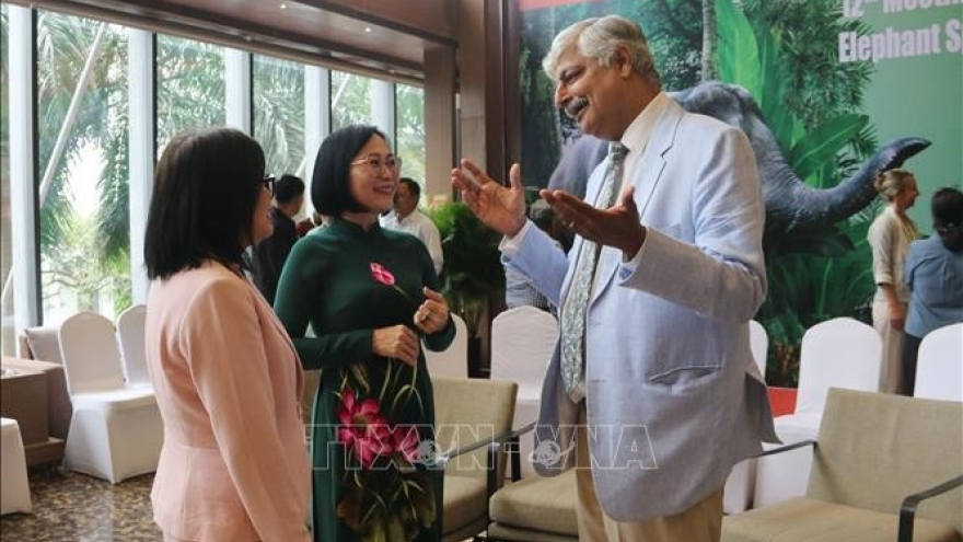 Asian elephant experts meet in Dong Nai to explore conservation measures