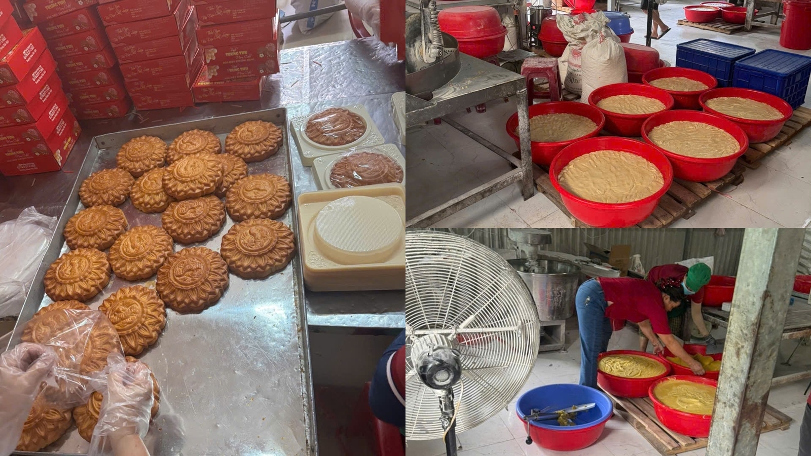 Phát hiện 4 cơ sở sản xuất, kinh doanh bánh Trung thu vi phạm vệ sinh an toàn thực phẩm
