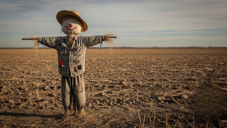 "Bù nhìn" - Lời cảnh tỉnh về thân phận con người