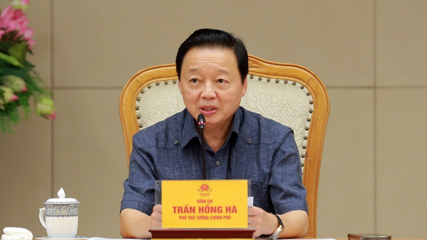 Hoàn thiện khuôn khổ pháp lý, vận hành minh bạch sàn giao dịch carbon trong nước