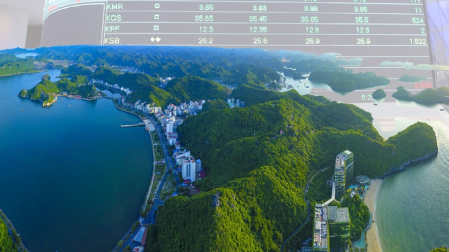 Vietnam achieves major progress in ozone protection, emission reduction