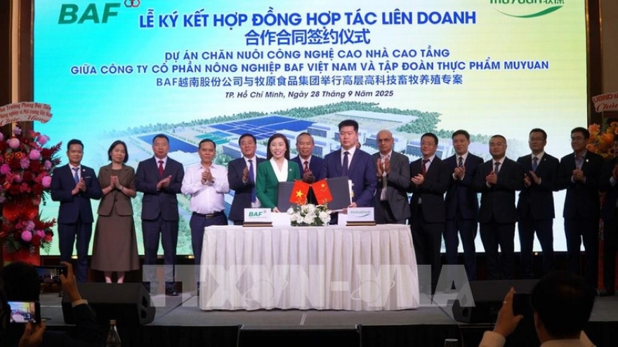 Vietnamese, Chinese firms partner to supply 1.6 million pigs to southern market