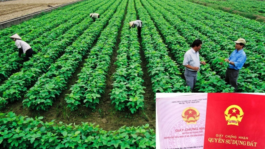 Đề xuất điều chỉnh mức thu tiền chuyển đổi mục đích sử dụng đất nông nghiệp sang đất ở