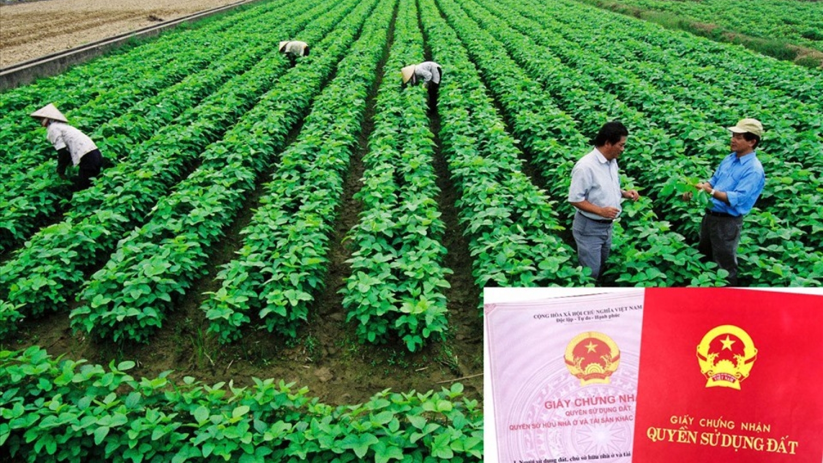 Đề xuất điều chỉnh mức thu tiền chuyển đổi mục đích sử dụng đất nông nghiệp sang đất ở
