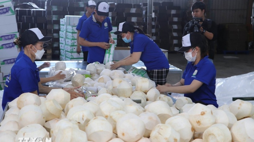 Vietnam’s coconut industry targets US$1.15 billion in export value