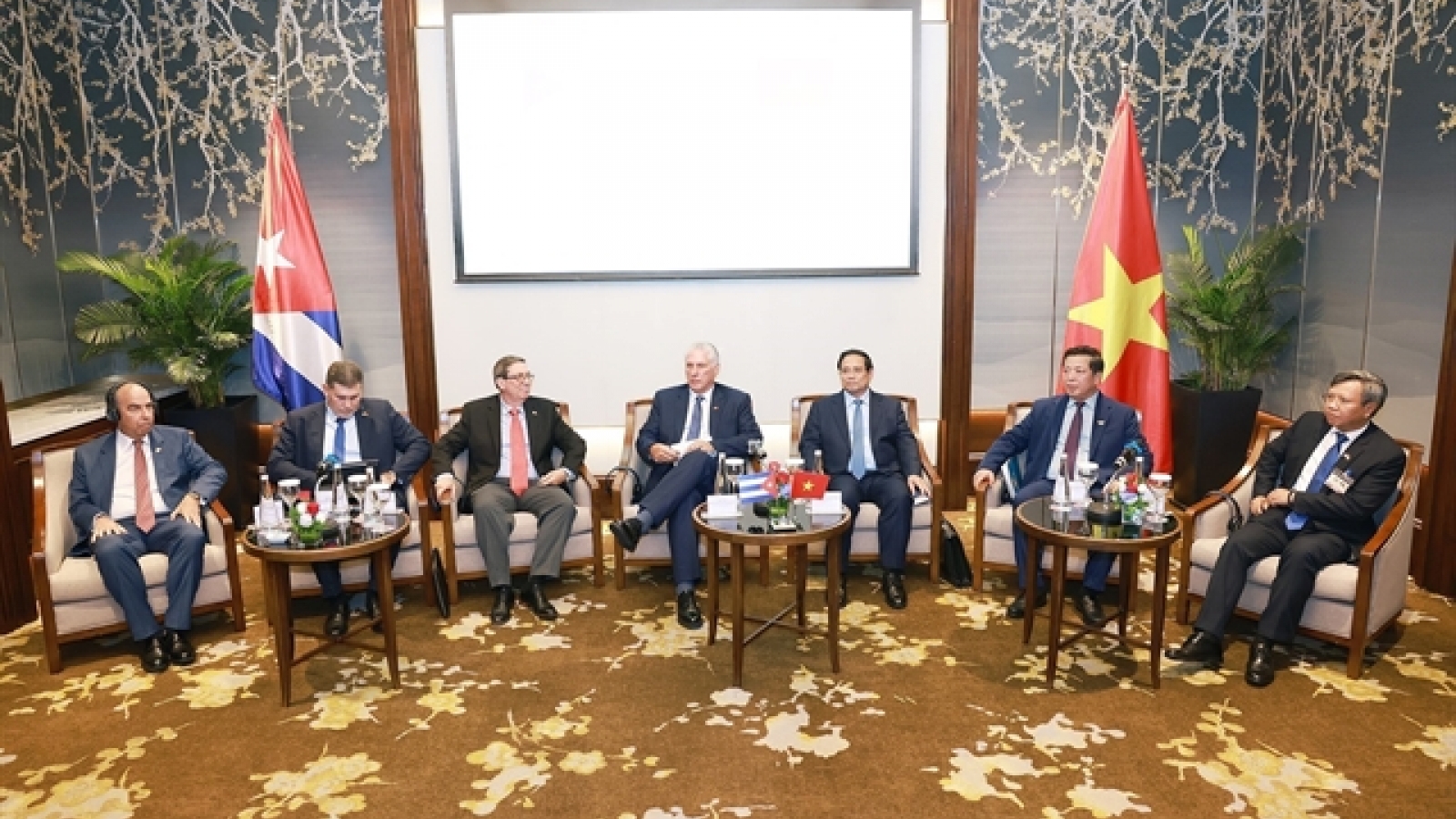 Top Cuban leader commits greater incentives for Vietnamese enterprises