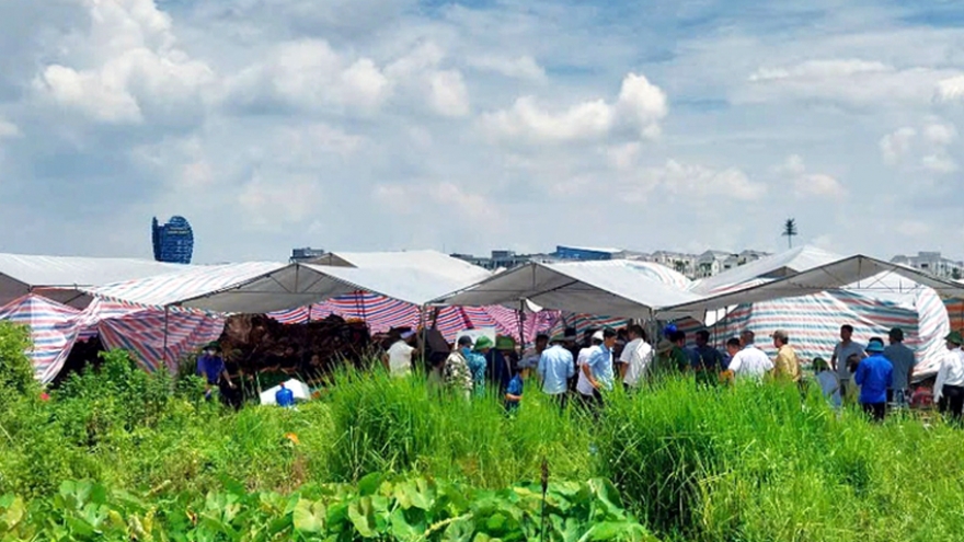 Khởi tố kẻ lái máy xúc xâm phạm mồ mả tại Hưng Yên