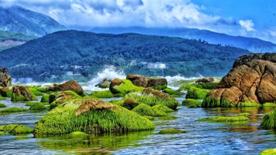Da Nang photo collection to be exhibited in RoK