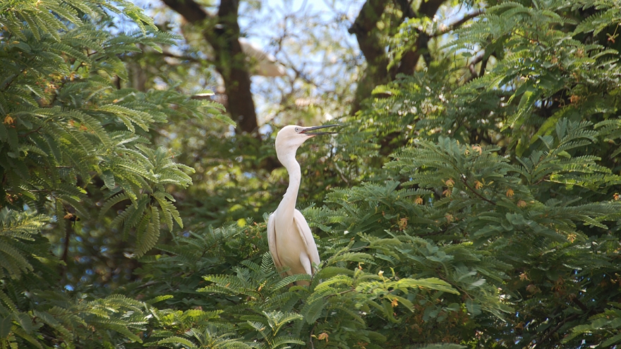 Khám phá 3 “Công viên Di sản ASEAN” mới của Việt Nam