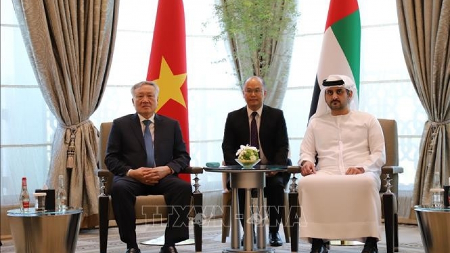 Permanent Deputy PM meets with UAE officials, business representatives