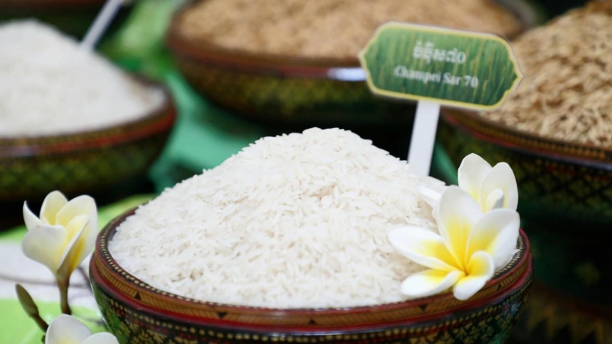 Xuất khẩu gạo Campuchia trên đà đạt kỷ lục mới trong năm 2025