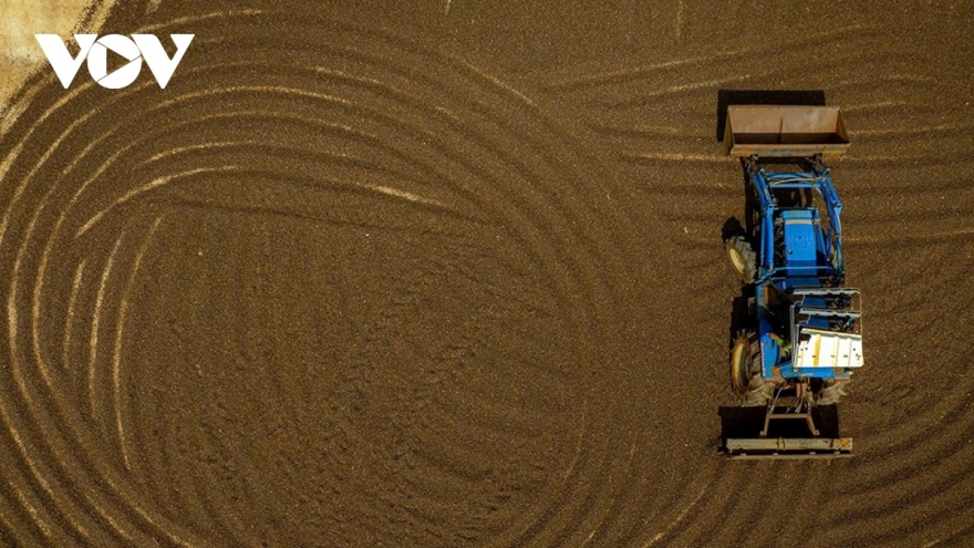 Xuất khẩu cà phê cao nhất từ trước đến nay