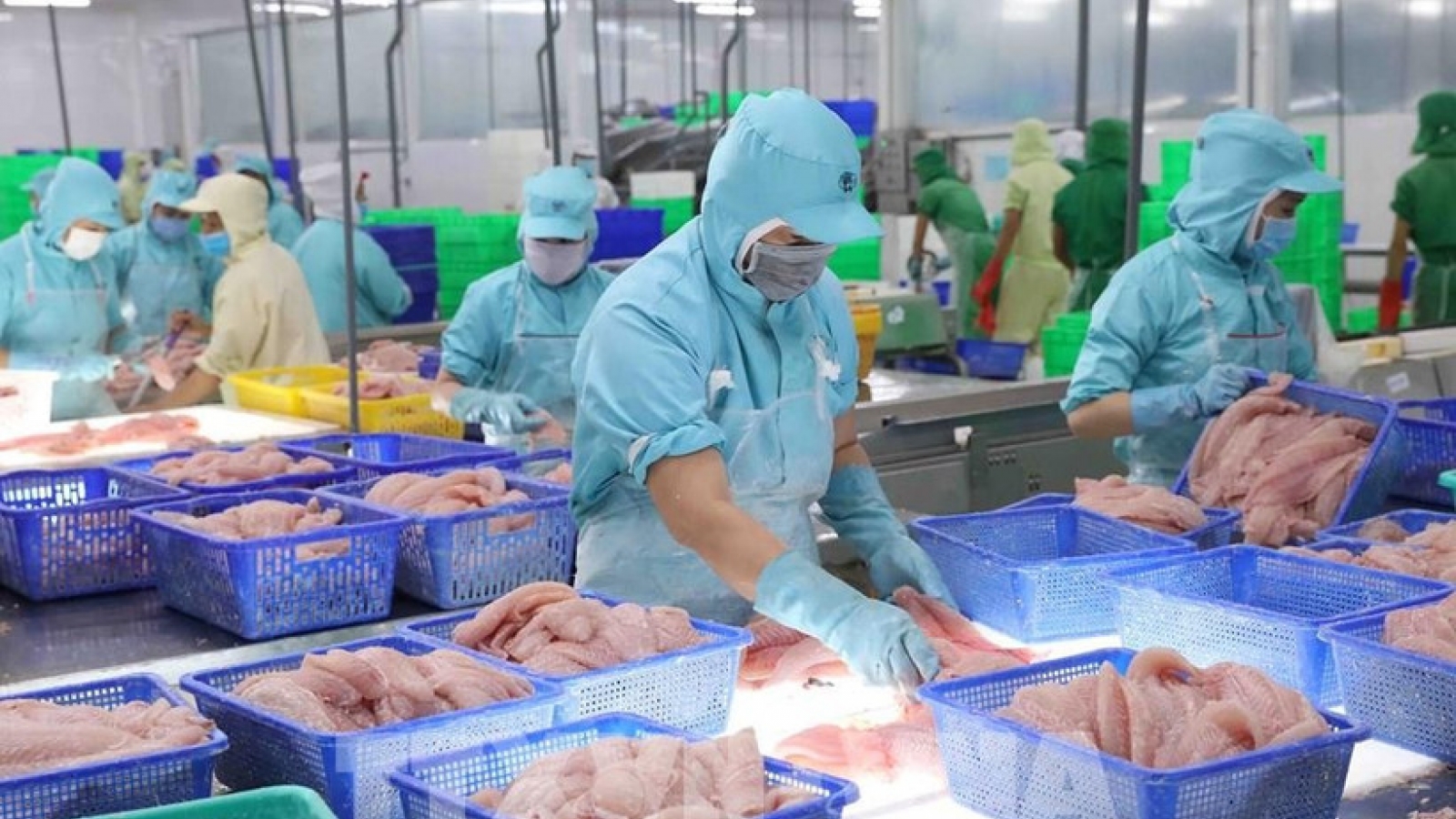 Aquatic sector advised to navigate challenges, secure exports to EU, US markets